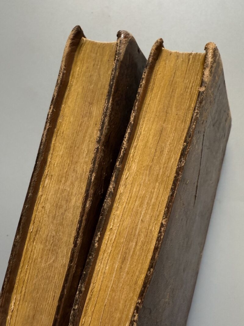 La Estrangera ó la muger misteriosa, Vizconde de Arlincourt - Librería de Cabrerizo, 1830