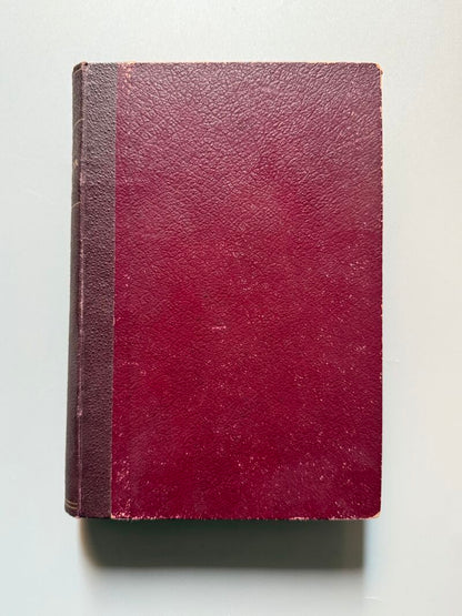 El moderno destilador-licorista, Pedro Valsecchi - Manuel Sauri Editor, 1877