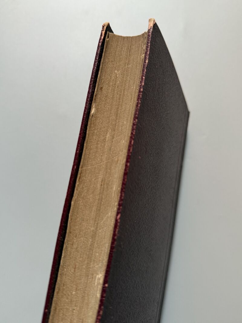 El moderno destilador-licorista, Pedro Valsecchi - Manuel Sauri Editor, 1877