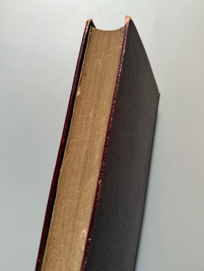 El moderno destilador-licorista, Pedro Valsecchi - Manuel Sauri Editor, 1877