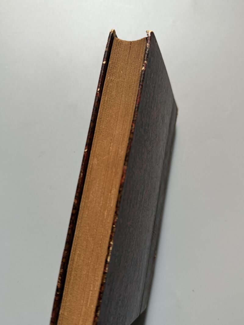 Luisa Isabel de Orleans y Luis XV, Alfonso Danvila - Librería de Fernando Fe, 1902