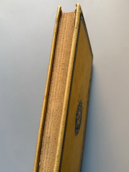 Libro de: ¡Si yo fuera rico!, Luis Mariano de Larra  - Montaner y Simón, 1896