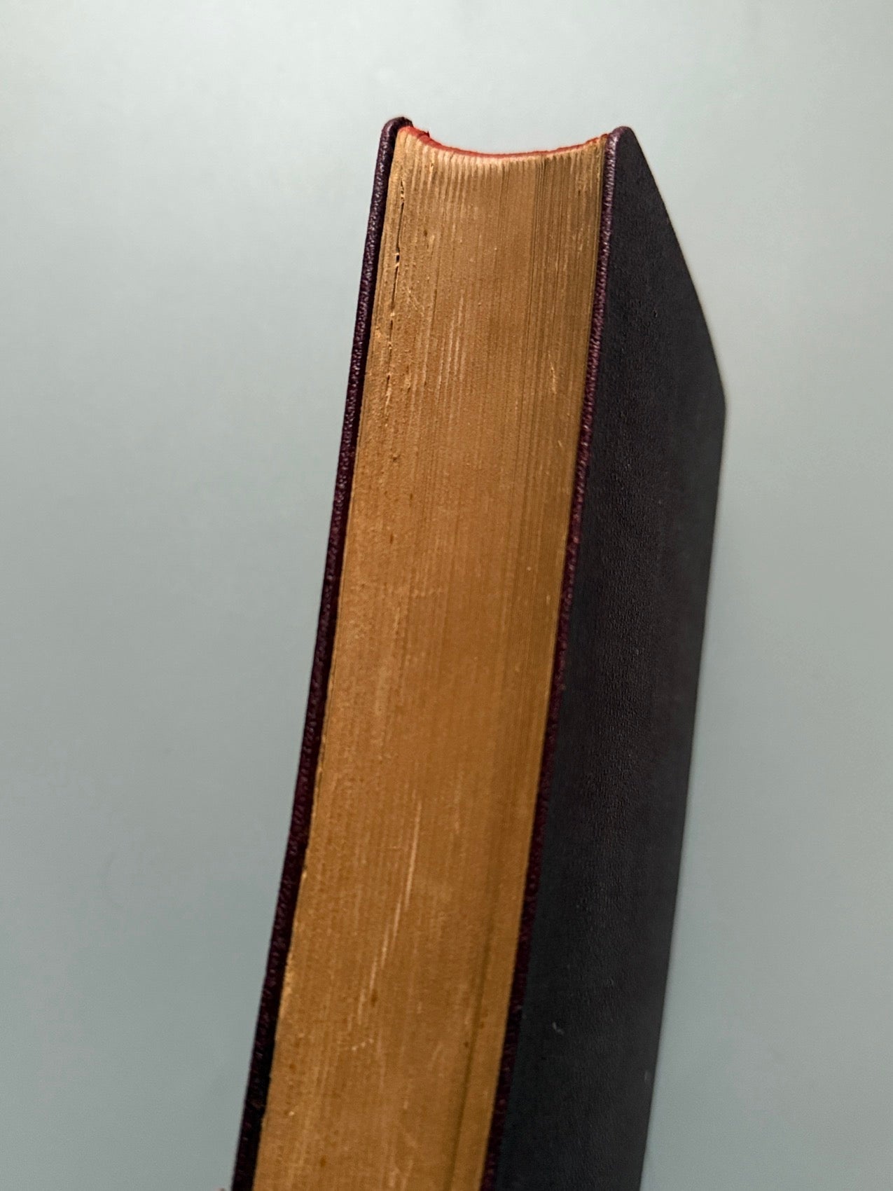 Libro de: Recetario de medicina doméstica, Doctor N. Blau - Librería de la viuda Castells, ca. 1930.