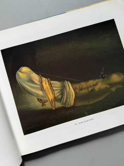 Dali: The Salvador Dali Museum Collection, A Bulfinch Press Book - 1991
