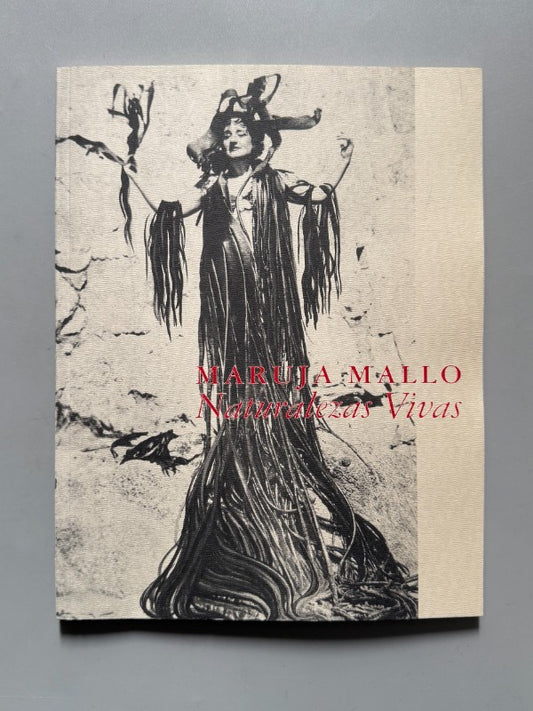 Maruja Mallo. Naturalezas Vivas 1941-1944 + Recortes periódico - 2002