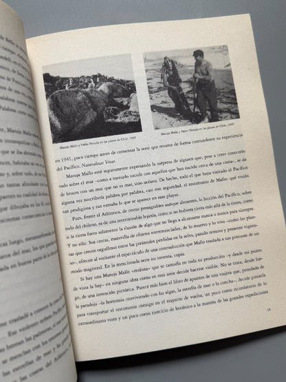 Maruja Mallo. Naturalezas Vivas 1941-1944 + Recortes periódico - 2002