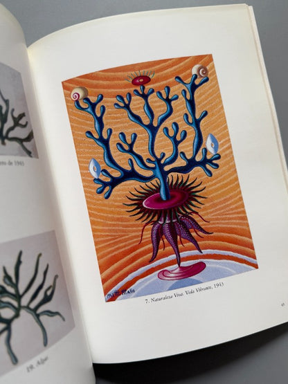 Maruja Mallo. Naturalezas Vivas 1941-1944 + Recortes periódico - 2002