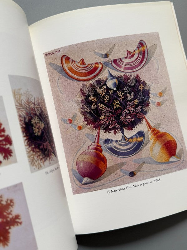 Maruja Mallo. Naturalezas Vivas 1941-1944 + Recortes periódico - 2002