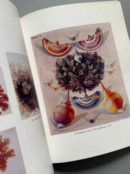 Maruja Mallo. Naturalezas Vivas 1941-1944 + Recortes periódico - 2002