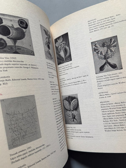 Maruja Mallo. Naturalezas Vivas 1941-1944 + Recortes periódico - 2002