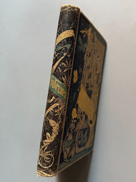 Cuentos de Andersen - Biblioteca Arte y Letras, 1881