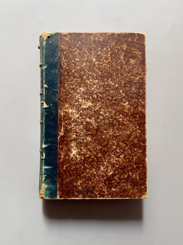 Manuel général de la peinture a l'huile y + Traité de Paysage, F. Goupil - Le Bailly