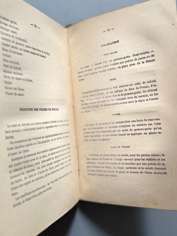 Manuel général de la peinture a l'huile y + Traité de Paysage, F. Goupil - Le Bailly