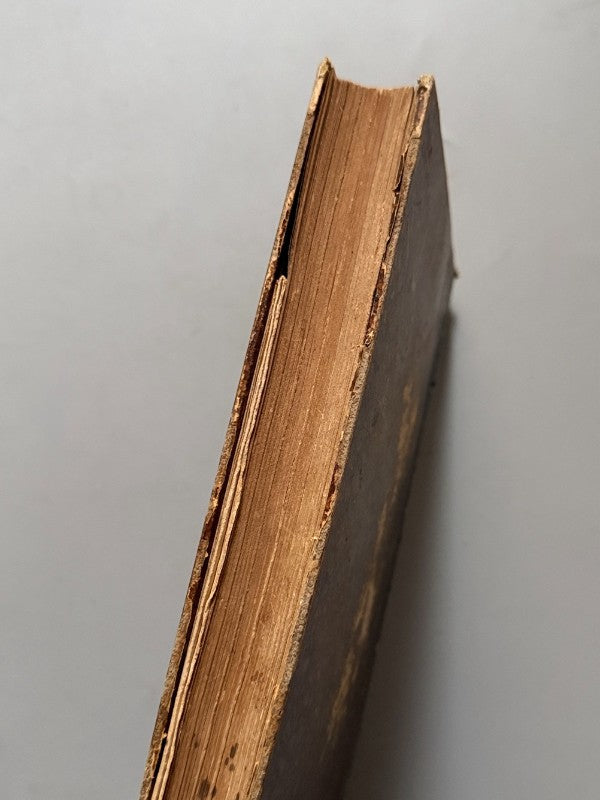 Manuel général de la peinture a l'huile y + Traité de Paysage, F. Goupil - Le Bailly