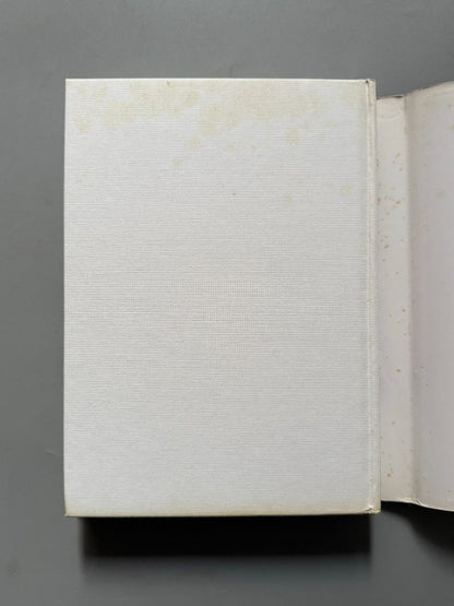 Loving Picasso: The Private Journal of Fernande Olivier - Harry N. Abrams, 2001