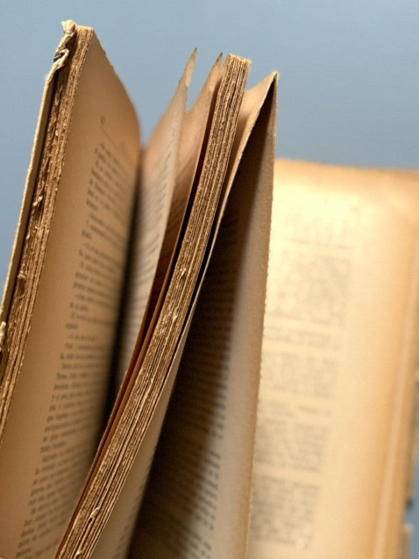 Teresa, Rosa Chacel (1ª ed.) - Ediciones Nuevo Romance, 1941