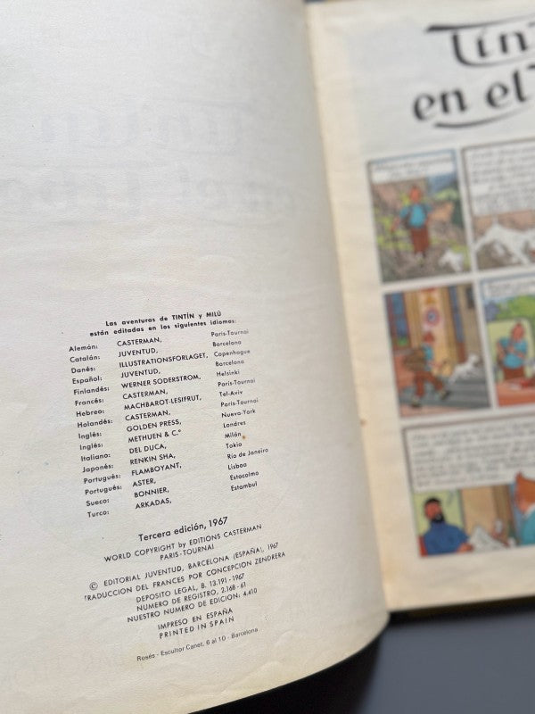 Tintín en el Tíbet, Hergé - Juventud, 1967