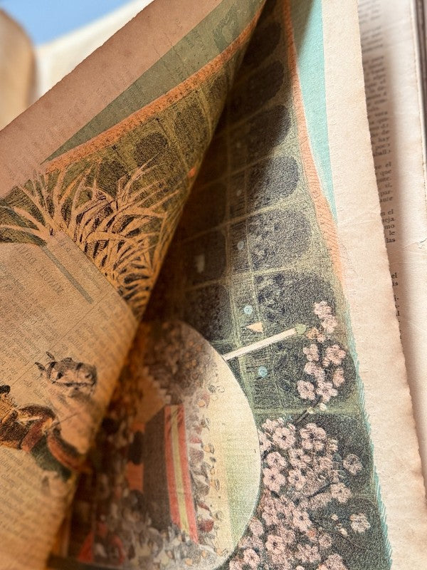 La Lidia. Revista taurina, años V y VI completos (67 números) - 1886-1887