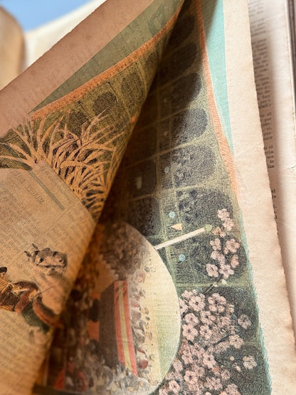 La Lidia. Revista taurina, años V y VI completos (67 números) - 1886-1887