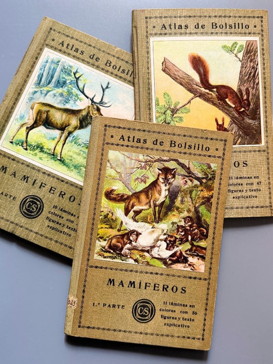 Atlas de bolsillo. Mamíferos, José Fuset - C. Seither Editor, 1934