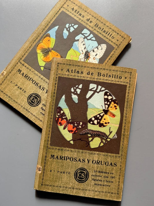 Atlas de mariposas y orugas, Ignacio de Sagarra - C. Seither Editor, 1934