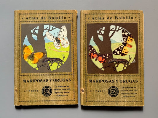 Atlas de mariposas y orugas, Ignacio de Sagarra - C. Seither Editor, 1934
