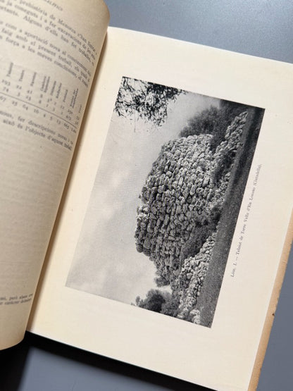 Els monuments megalítics a l'illa de Menorca, Josep Mascaró - Institut d'Estudis Catalans, 1958