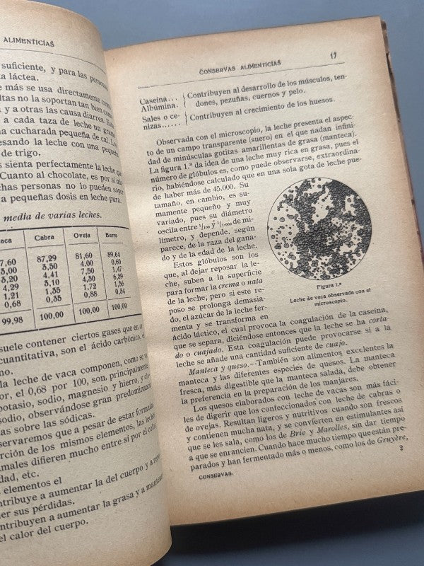 Conservas Alimenticias, Francisco Balaguer y Primo - Librería de Luis Santos Editor, ca. 1900