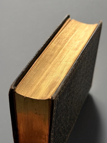 El Ingenioso Hidalgo Don Quijote de la Mancha, Miguel de Cervantes de Saavedra - Saturnino Calleja