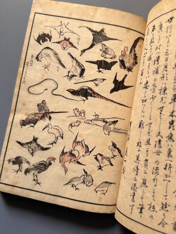 Hokusai Manga, vol. I - Katsushika Hokusai - Ōkura Magobei, 1889