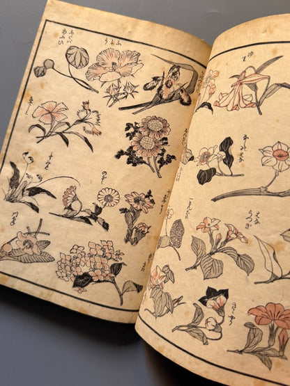 Hokusai Manga, vol. I - Katsushika Hokusai - Ōkura Magobei, 1889