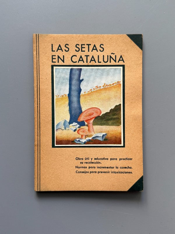 Las setas en Cataluña, Juan Badó Calvó - Imprenta Elzeveriana y Librería Camí, ca. 1930