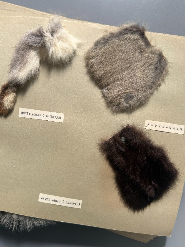Catálogo de pieles y pelo natural para abrigo (muestras reales + fotografías de abrigos) - Años 40