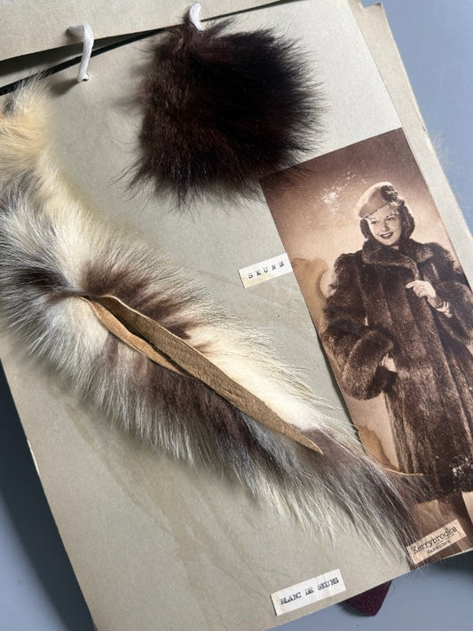 Catálogo de pieles y pelo natural para abrigo (muestras reales + fotografías de abrigos) - Años 40 - Antigularia