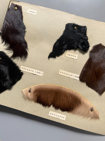 Catálogo de pieles y pelo natural para abrigo (muestras reales + fotografías de abrigos) - Años 40