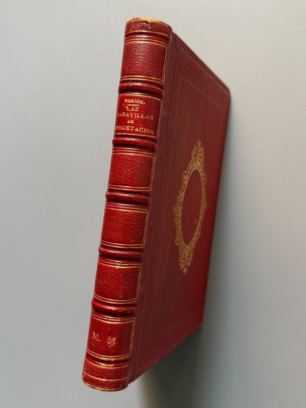 Las maravillas de la vegetación, F. Marion - Librería Hachette y Cª, 1872