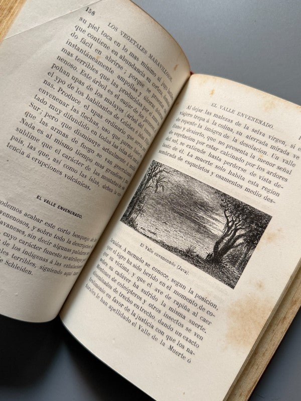 Las maravillas de la vegetación, F. Marion - Librería Hachette y Cª, 1872