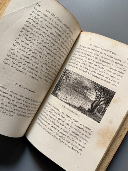 Las maravillas de la vegetación, F. Marion - Librería Hachette y Cª, 1872