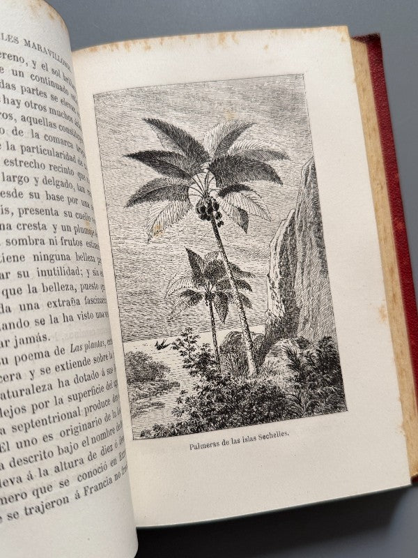 Las maravillas de la vegetación, F. Marion - Librería Hachette y Cª, 1872