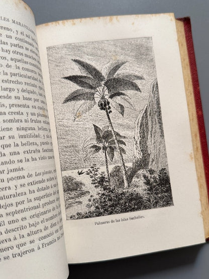 Las maravillas de la vegetación, F. Marion - Librería Hachette y Cª, 1872