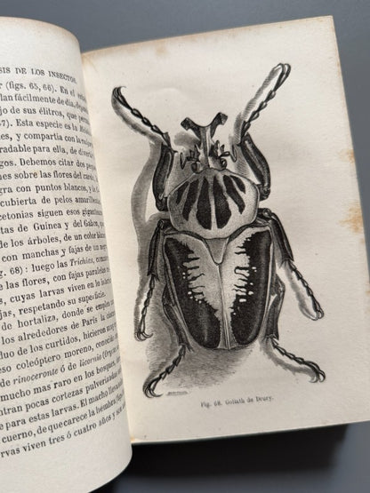 La metamorfosis de los insectos, Mauricio Girard - Librería Hachette y Cª, 1868