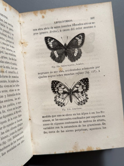 La metamorfosis de los insectos, Mauricio Girard - Librería Hachette y Cª, 1868
