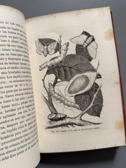 La metamorfosis de los insectos, Mauricio Girard - Librería Hachette y Cª, 1868