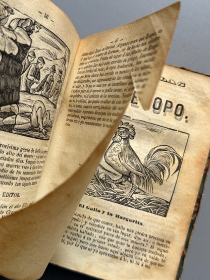 Fábulas de Esopo - Imprenta de la viuda de Sauri e hijo, 1857