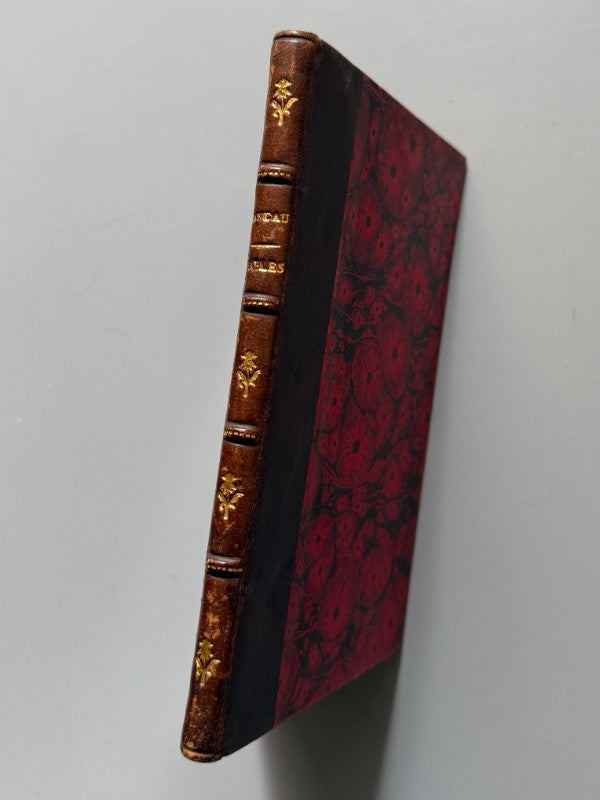 Fables d'après Flavius Avianus et oeuvres diverses par un campagnard landais (Louis Candau) - 1872