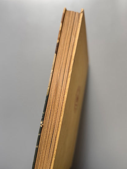 I grandi navigatori italiani, Giuseppe Fanciulli - La Libreria Dello Stato, 1931