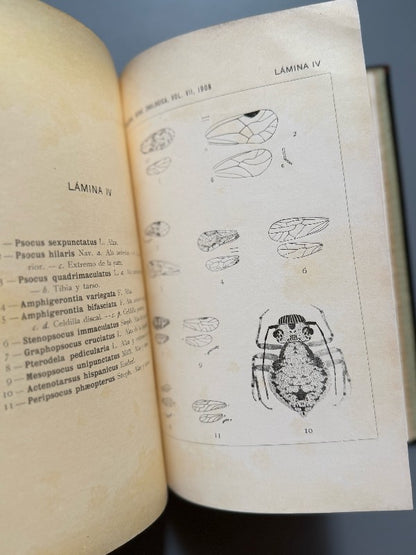 Neurópteros de España y Portugal, Longinos Navás - S. Fiel, 1908