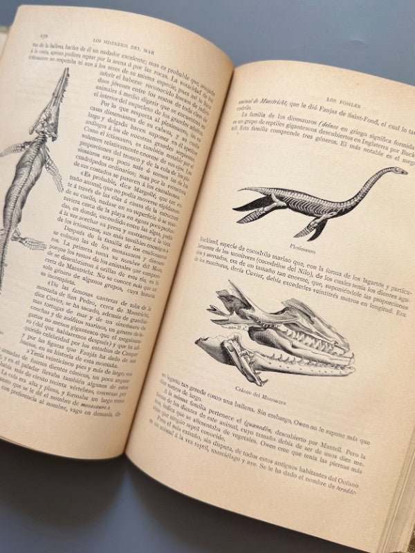 Los misterios del mar, Manuel Aranda y Sanjuan - Editorial Montaner y Simón, 1891