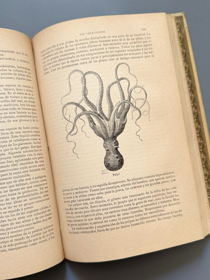Los misterios del mar, Manuel Aranda y Sanjuan - Editorial Montaner y Simón, 1891