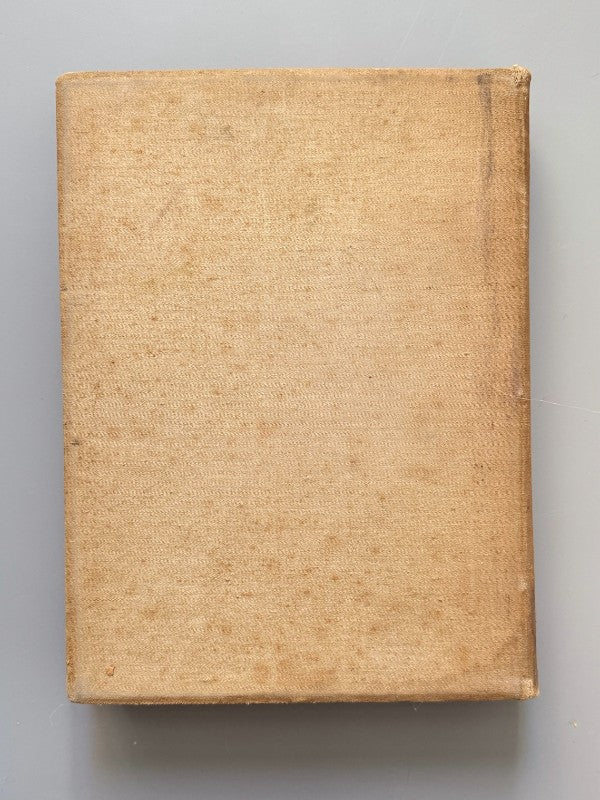 Álbum fototípich de la Catedral de Barcelona - Estampa de Lluís Tasso Serra, 1888